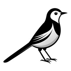 Wagtail bird different style vector illustration line art