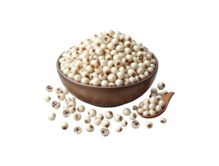 Jobs tears coix seeds isolated on transparent background 