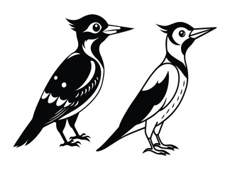 Naklejka premium woodpecker bird isolated on white background