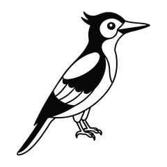 woodpecker bird isolated on white background