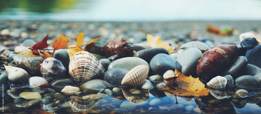 Aufkleber background textures shells and pebbles beside a creek. creative banner. copyspace image