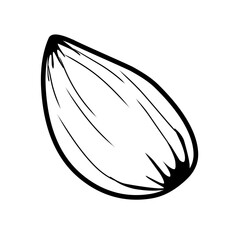 outline sketch of almonds