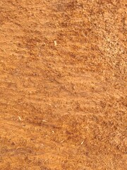 Portrait background of wood texture. Ideal for nature related contents.