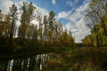 Amazing Carpathian forest in autumn season, Slovakia