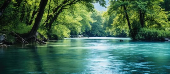 Calm blue river. Creative banner. Copyspace image