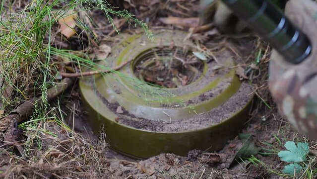 A sapper digs an anti-tank mine out of the ground with a shovel. He shovels the grass with his hands, frees the mine from the ground. A real war. Mined areas.