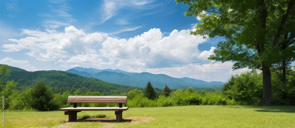 Poster mountains green forest meadow blue sky and white clouds and with a bench for rest in the foreground.