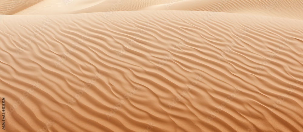 Poster beach and sand texture pattern of sand. creative banner. copyspace image