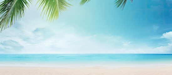 Obraz premium Sand with Palm and tropical beach and sea background with frame design for creative advertising Summer vacation and travel concept Copy space
