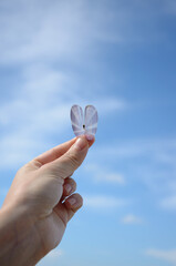 hand holding a heart shell