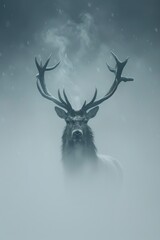 Majestic red deer stag with impressive antlers standing in a foggy forest landscape