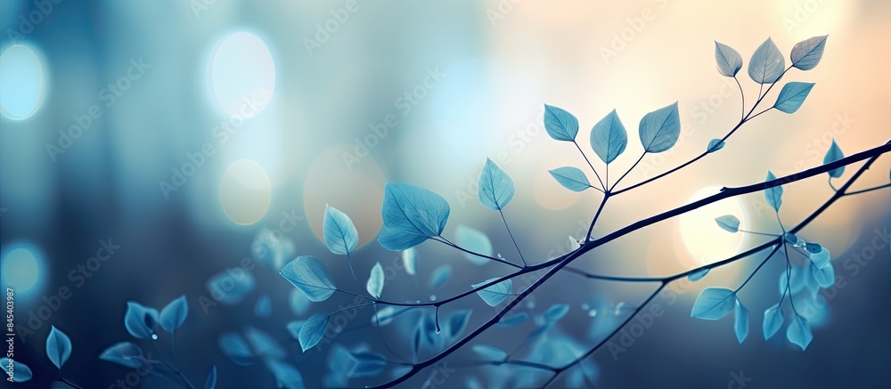 Aufkleber Blue bokeh on defocus in the nature for art abstract blurred background or texture. Creative banner. Copyspace image