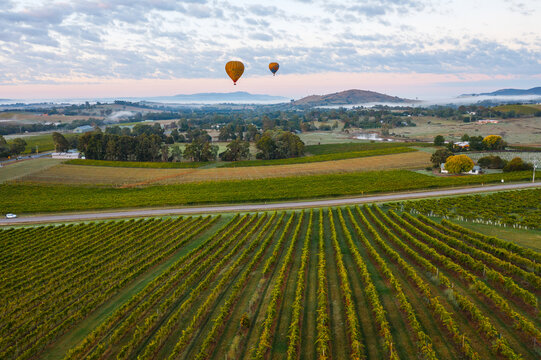 Aerial view of vineyards and valley with hot air balloons, Yarra Valley, Victoria, Australia - Powered by Adobe