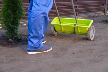 The process of sowing a lawn, a male gardener sows seeds using a seeder, close-up