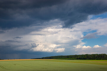 Thunderstorm clouds over the agricultural fields.