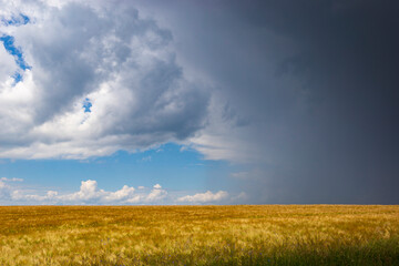 Thunderstorm clouds over the agricultural fields.