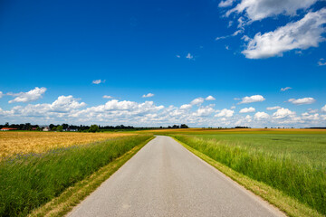 Fototapeta premium Road through the fields in sunny day