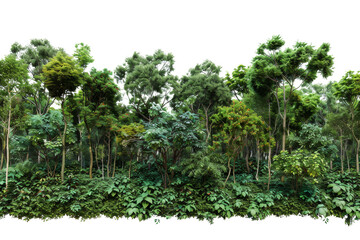 Lush tropical rainforest with dense canopy and vibrant foliage, showcasing the beauty of natural wilderness and biodiversity.
