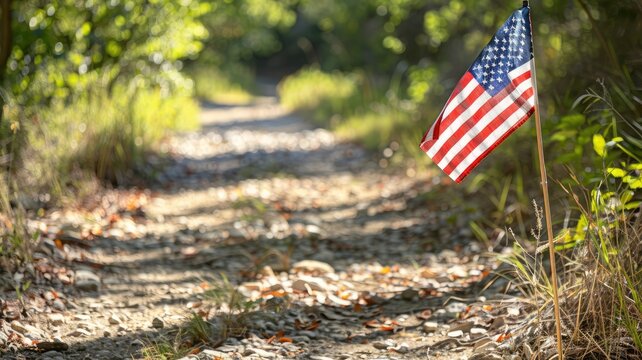 American flag on forest path, sunlight filtering through trees
