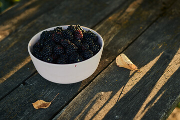 Blackberries were recently picked from a bush, poured into a white cup and now it stands on an old wooden table, catching the last rays of the setting sun