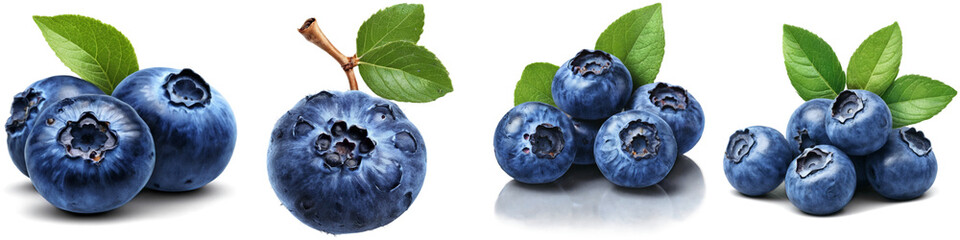 Set of blueberry illustrations with no background. Collage of png berry illustration with transparency.