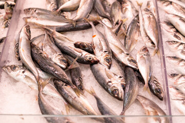This image shows a variety of fresh fish laid out on ice presumably at a seafood market, with blurred faces behind the stall