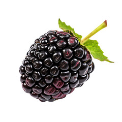 Close-up image of a fresh blackberry with green leaves, showcasing natural texture and vibrant color. Ideal for food and fruit-themed projects.