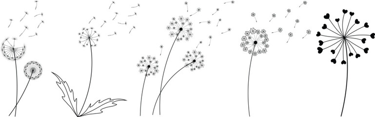 Dandelion Wild Flower Outline Drawing Coloring Page for Kids and Adults