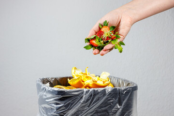 waste sorting . bio waste, organic waste on white background