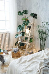 Wooden ladder shelf with various potted plants, surrounded by light grey walls, fairy lights, wicker baskets, and cozy textiles. Features a soft boho bed in the background, adding a serene touch
