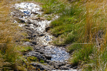 Close-up of hiking trail with stones and puddle of water at Swiss mountain pass Gotthard on a sunny late summer day. Photo taken September 10th, 2023, Gotthard, Switzerland.
