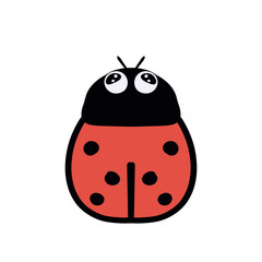 ladybird on a white background