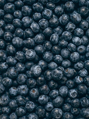 Fresh blueberry background. Close up, top view.