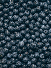 Fresh blueberry background. Close up, top view.