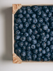 Tray of fresh blueberries, top view