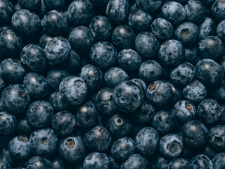 Fresh blueberry background. Close up, top view.