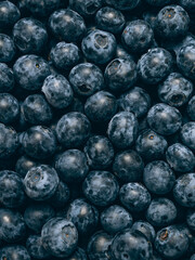 Fresh blueberry background. Close up, top view.