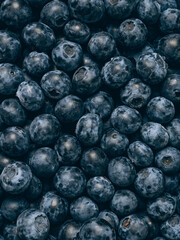 Fresh blueberry background. Close up, top view.