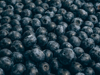 Fresh blueberry background. Close up, top view.