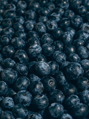 Fresh blueberry background. Close up, top view.