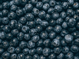 Fresh blueberry background. Close up, top view.
