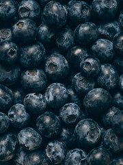 Fresh blueberry background. Close up, top view.