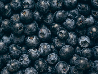 Fresh blueberry background. Close up, top view.