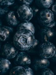 Fresh blueberry background. Close up, top view.