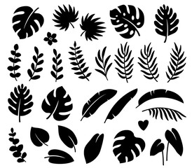 black tropical leaves branches summer set