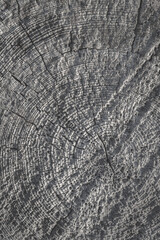 Fototapeta premium Texture of an old sawn log with a ring-shaped pattern. Weathered rough cracked gray surface of a dry wood. Natural rustic background.