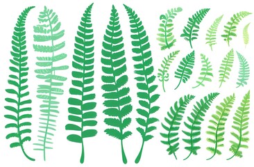Watercolor painting of green fern leaves, palm leaves on a white background.Watercolor hand-painted Tropical Exotic Leaves for Vintage Hawaiian Style Wallpaper