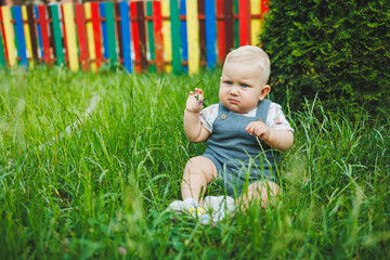 A fair-haired little boy in a t-shirt is playing while sitting in the grass. Child development.