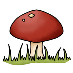 mushroom in grass