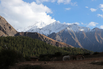 Majestic Mountain range ( Annapurna circuit)